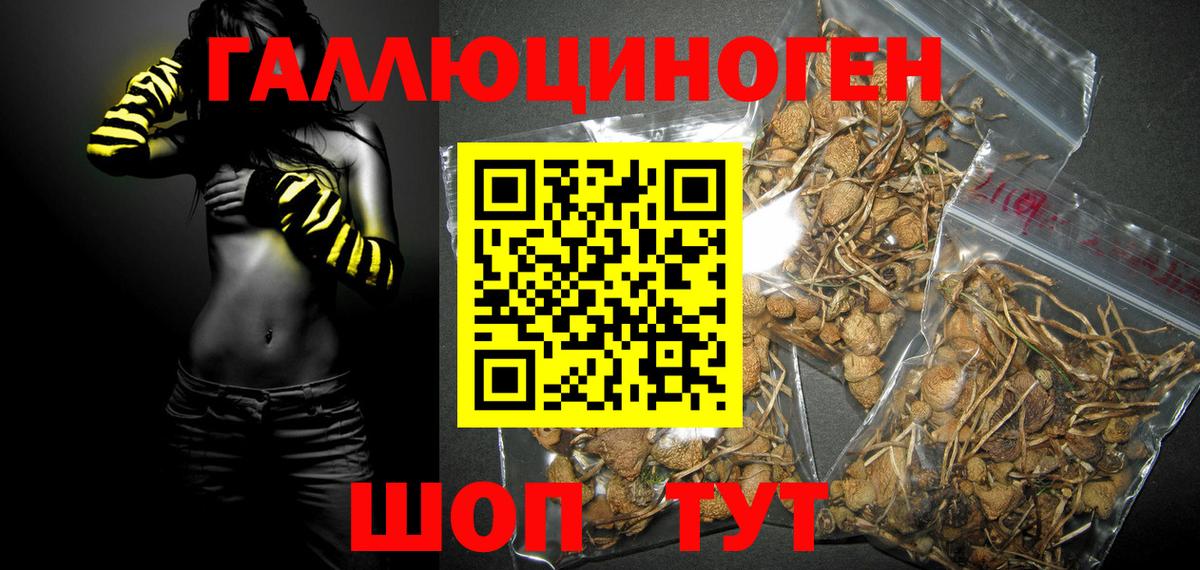 Галлюциногенные грибы мицелий Железноводск