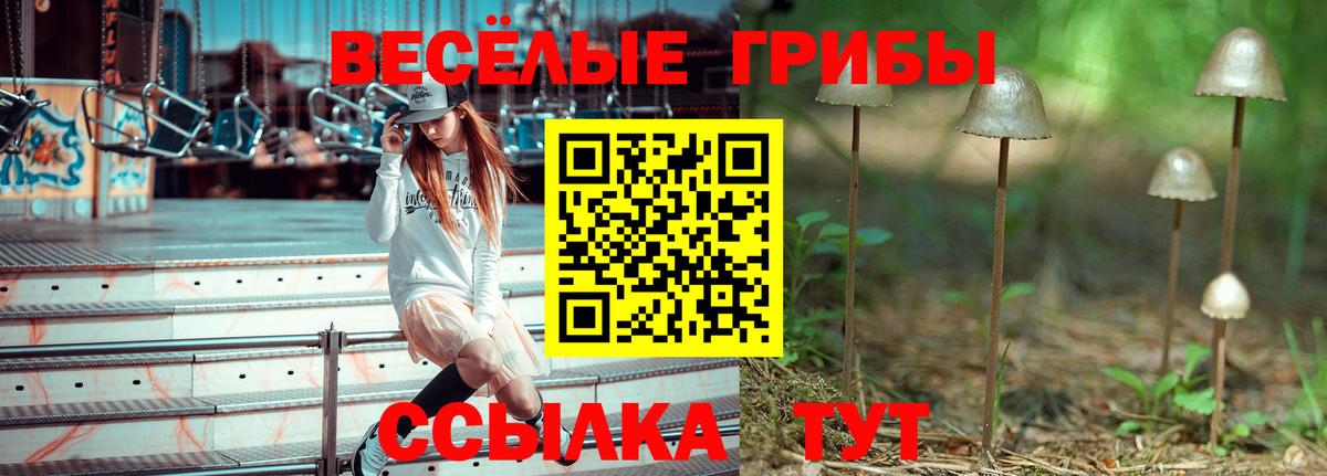 Галлюциногенные грибы прущие грибы  Вход с VPN  Железноводск  Галлюциногенные грибы мухоморы 
